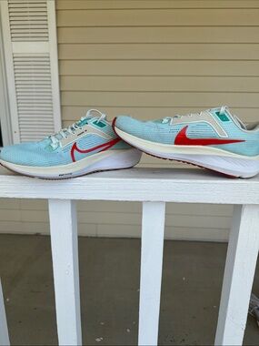 Nike EUC Pegasus 40 Retro Coloway LTD W8